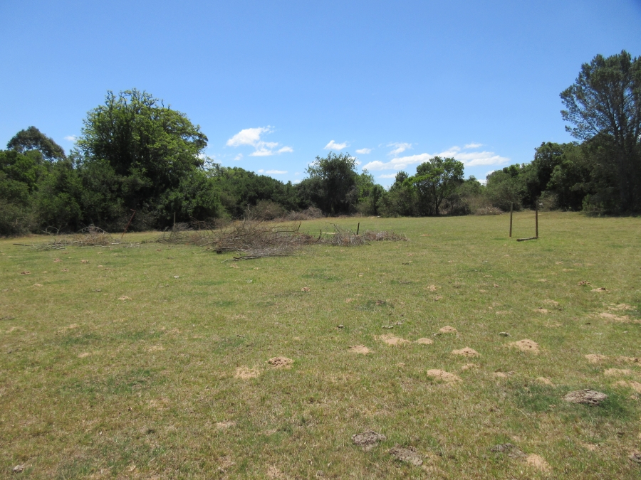 0 Bedroom Property for Sale in Bathurst Eastern Cape